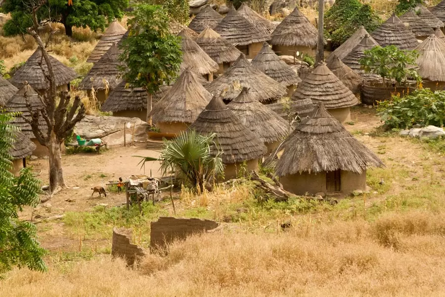 Excursion Kédougou depuis Riu Baobab — cascade Dindéfélo et Niokolo-Koba