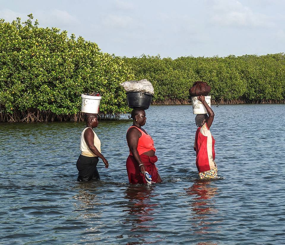 Que Faire au Sénégal depuis le Riu Baobab