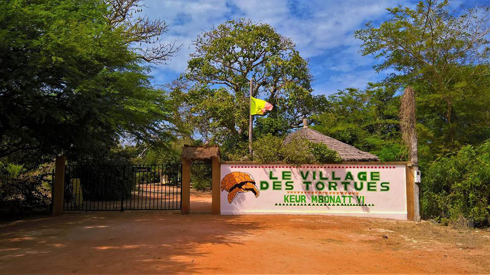 Village des Tortues depuis Riu Baobab