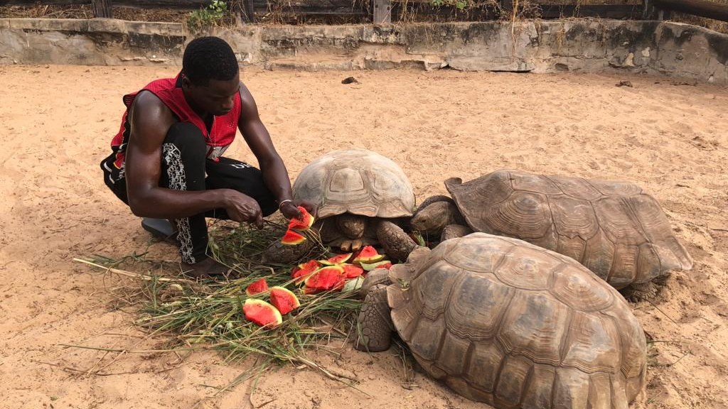Village des Tortues depuis Riu Baobab — sanctuaire de Sangalkam